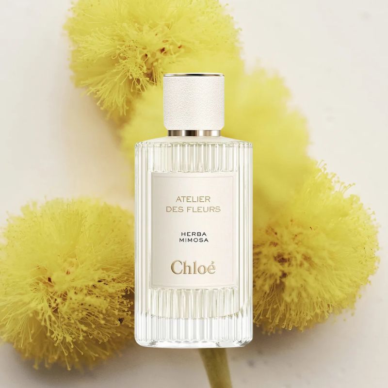 Chloe Atelier Des Fleurs Herba Mimosa